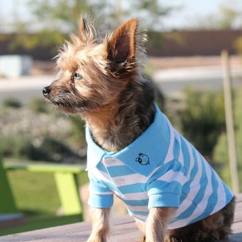 Dogo Dog Stripe Polo Shirt Yellow/Blue - Free Shipping