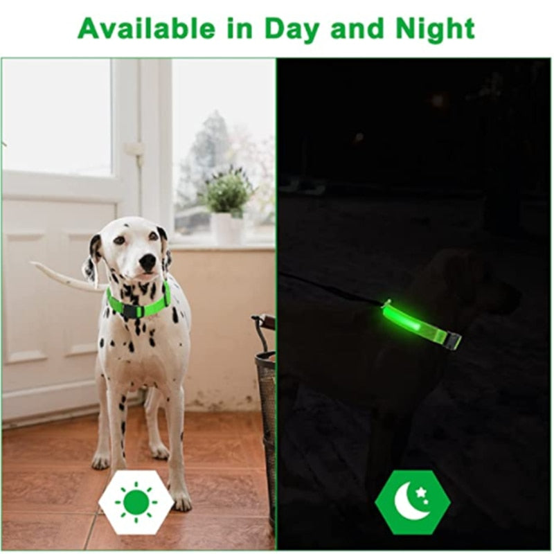 PRE-ORDER LED Glowing Dog Collar Adjustable Flashing Rechargea Luminous Collar Night Anti-Lost Dog Light