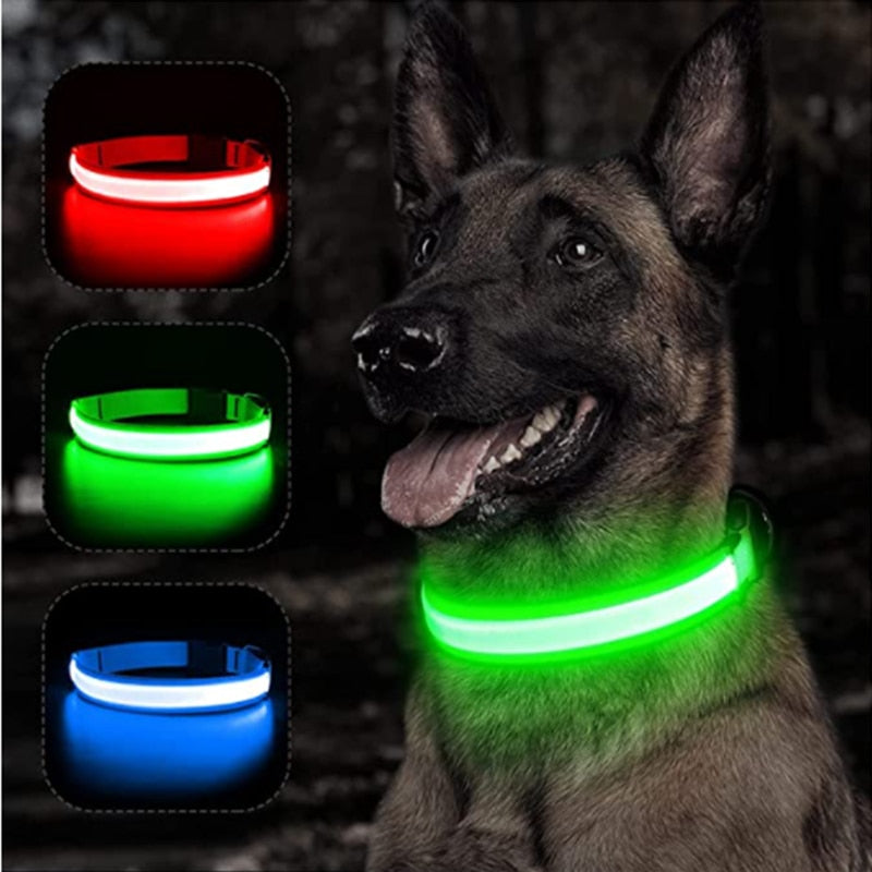 PRE-ORDER LED Glowing Dog Collar Adjustable Flashing Rechargea Luminous Collar Night Anti-Lost Dog Light