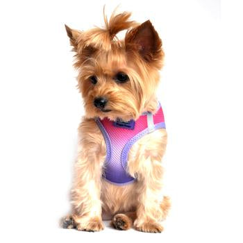 American River Choke Free Dog Harness Ombre Koleksiyonu - Raspberry Sundae