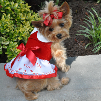 Holiday Dog Harness Dress - Candy Canes