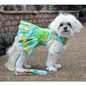 Pineapple Luau Dog Harness Dress with Matching Leash